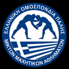 Πανελλήνιο Πρωτάθλημα ΜΜΑ